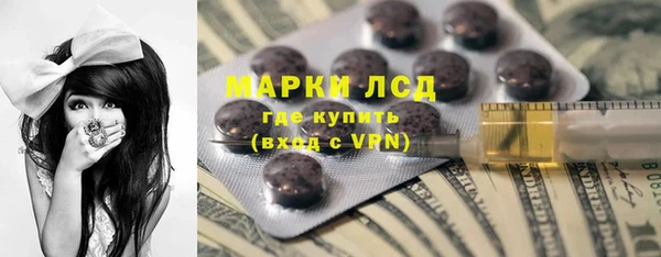 индика Белоозёрский
