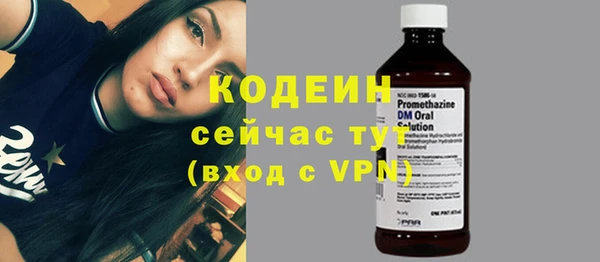 индика Белоозёрский