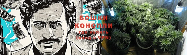 индика Белоозёрский