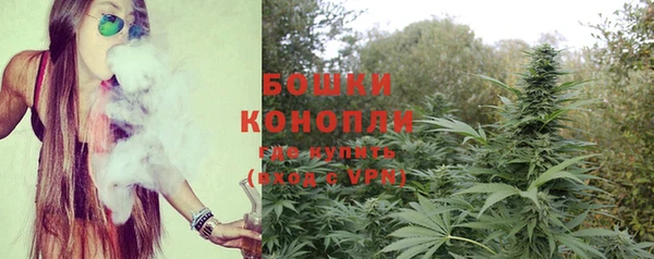 индика Белоозёрский