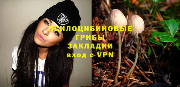 трава Белокуриха