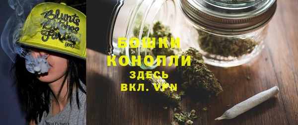 индика Белоозёрский
