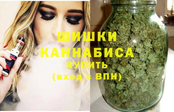 трава Белокуриха