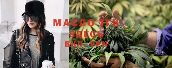 индика Белоозёрский