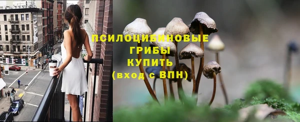 трава Белокуриха