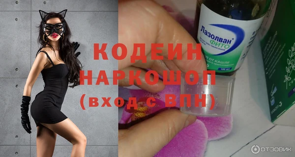 крисы Баксан
