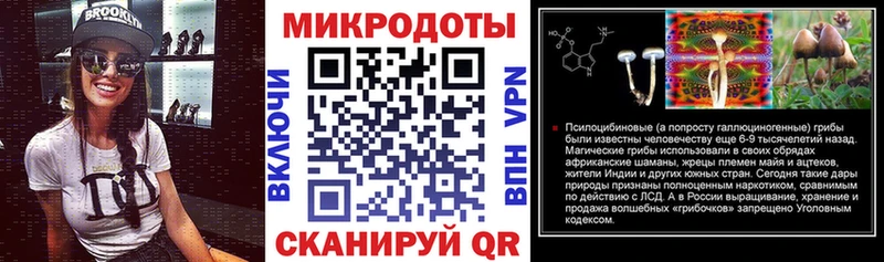 купить Верхний Тагил Галлюциногенные грибы Psilocybe